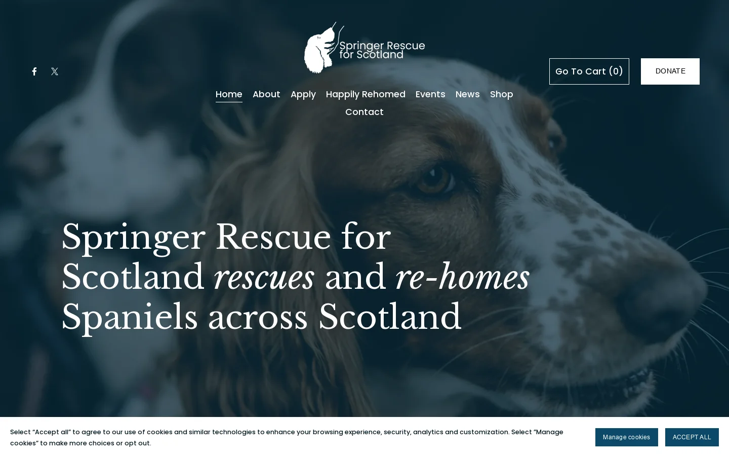 Springer Rescue Scotland Homepage screenshot