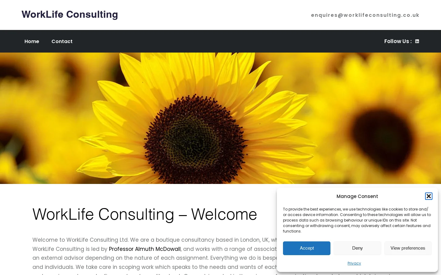 WorkLife Consulting Homepage screenshot