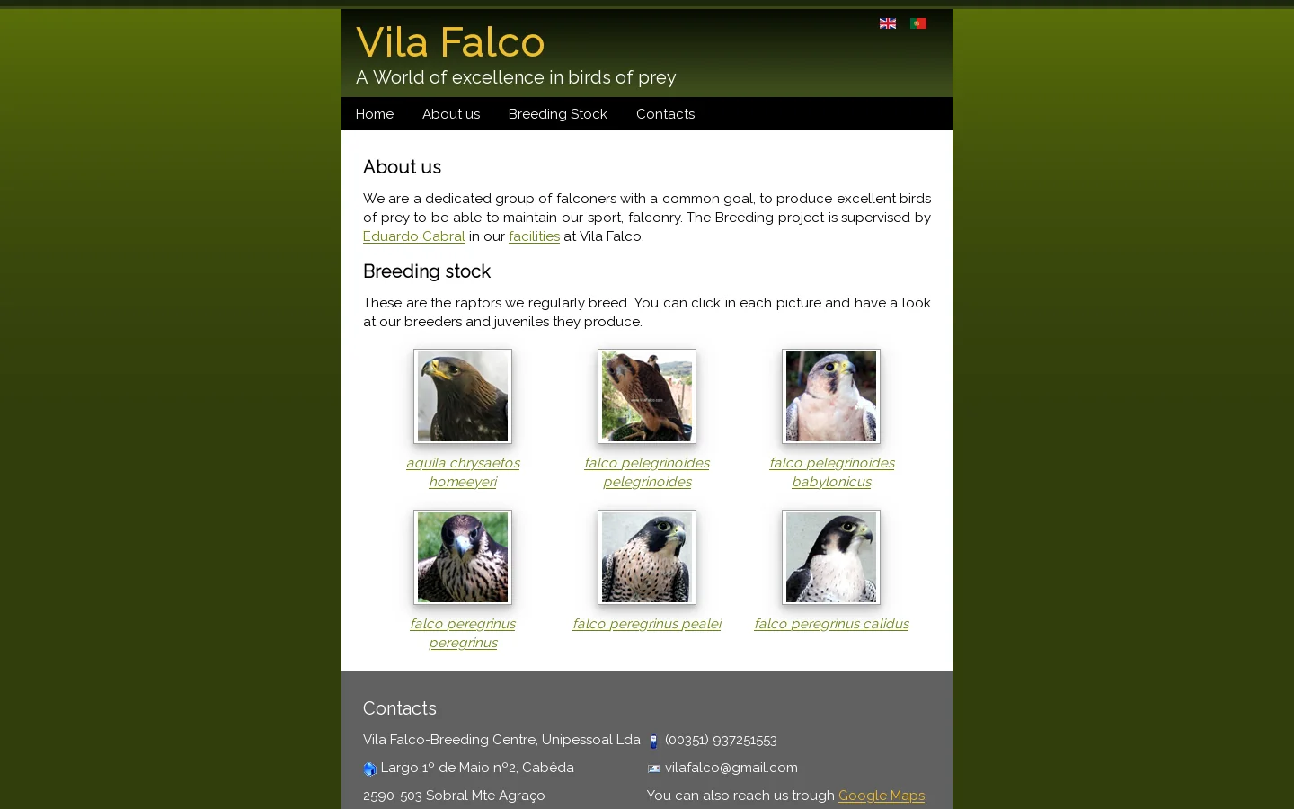 Vila Falco Homepage screenshot