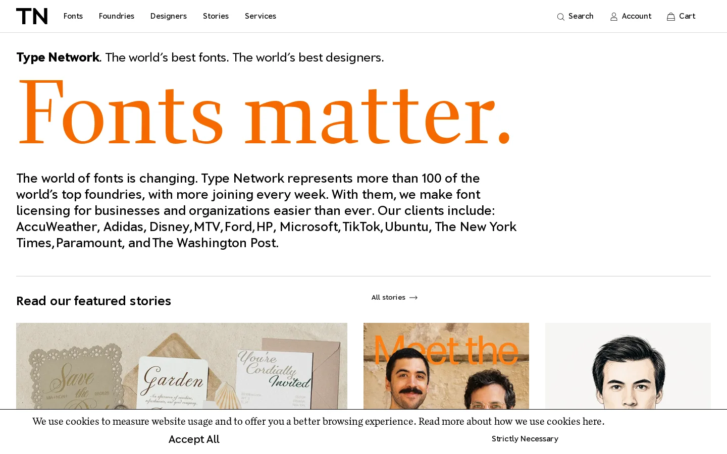 Type Network Homepage screenshot