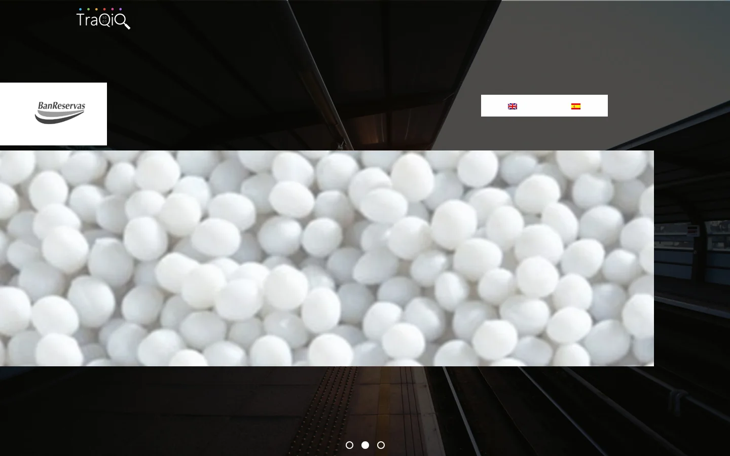 TraQiQ Homepage screenshot