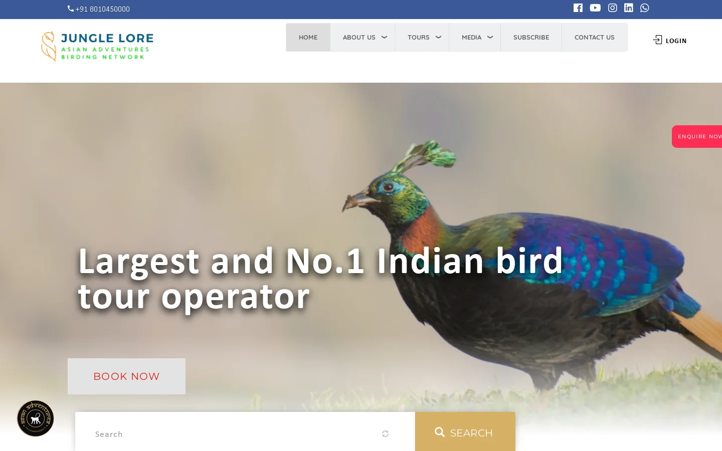 Birding In India | Bird Watching Tour | All India Birding Homepage screenshot