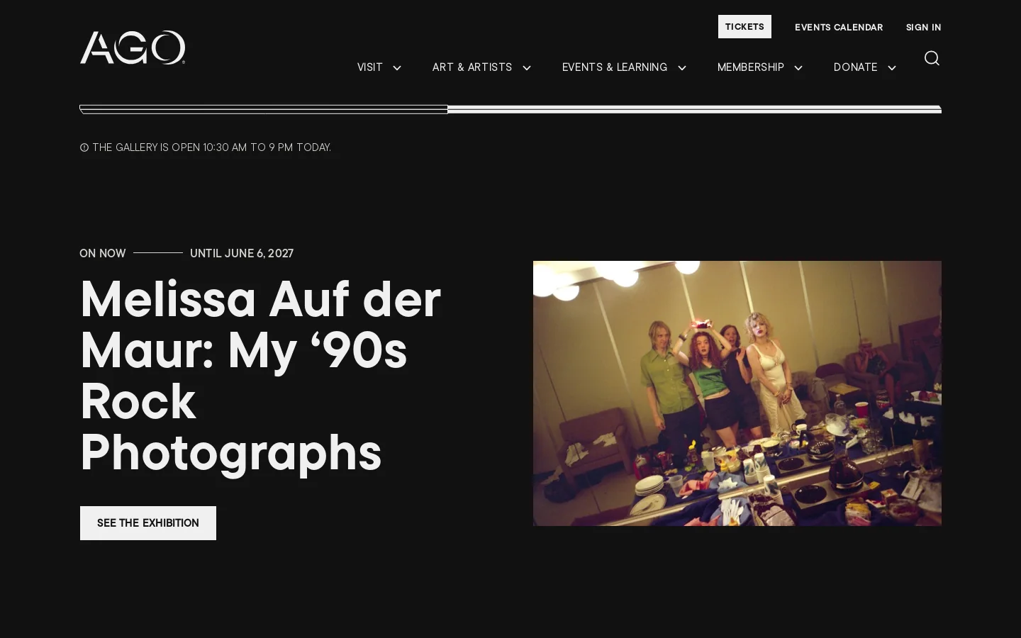 Art Gallery of Ontario | Toronto's Premier Art Museum | Art Gallery of Ontario Homepage screenshot