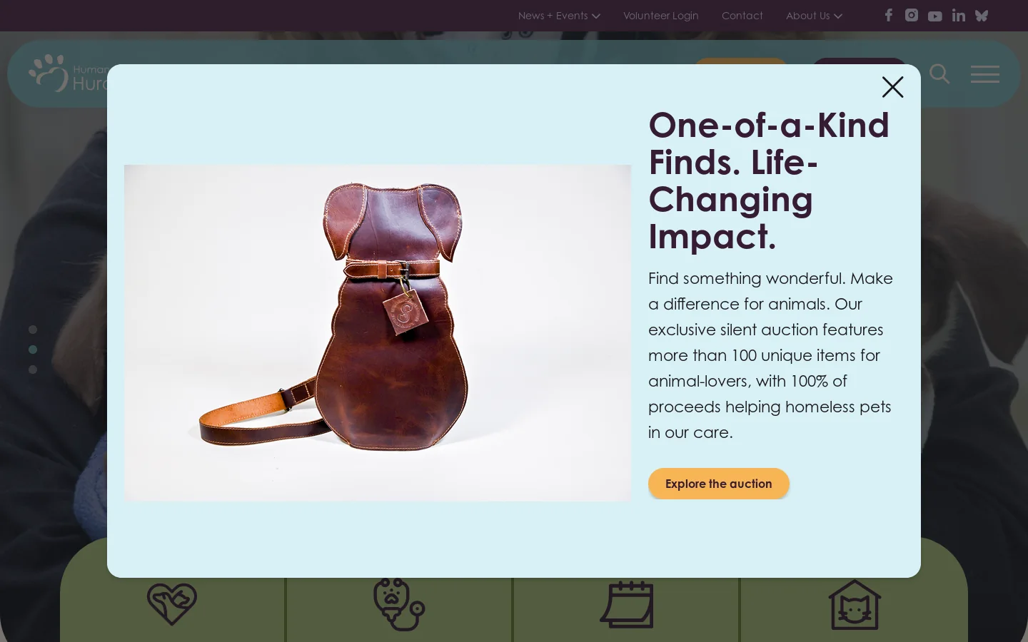 Home | Humane Society of Huron Valley Homepage screenshot