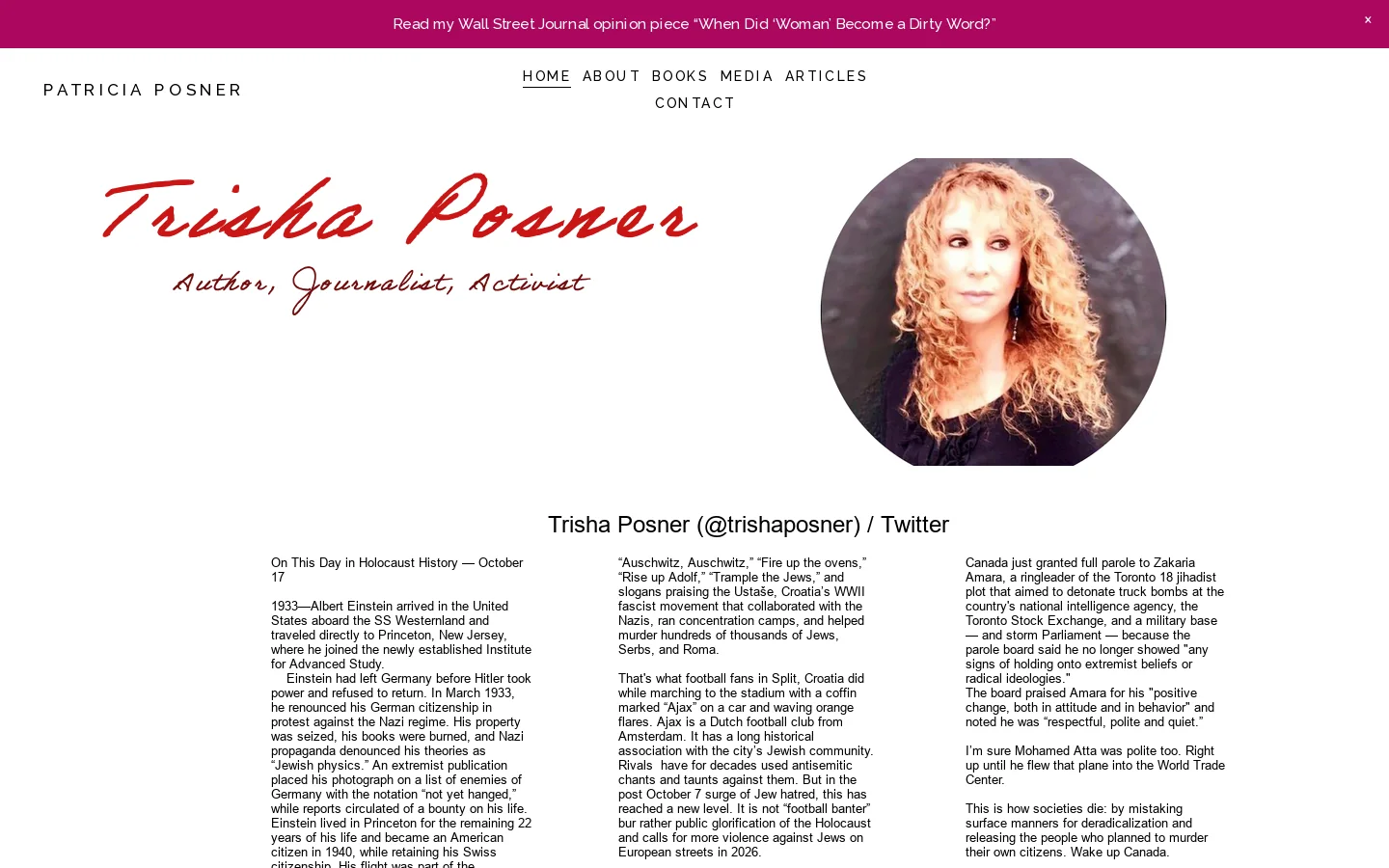 Patricia Posner Homepage screenshot