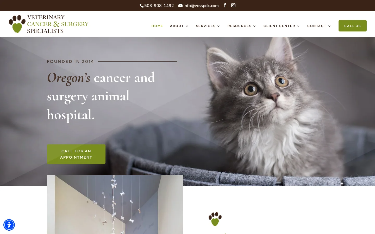 Veterinary Cancer & Surgery Specialists Homepage screenshot