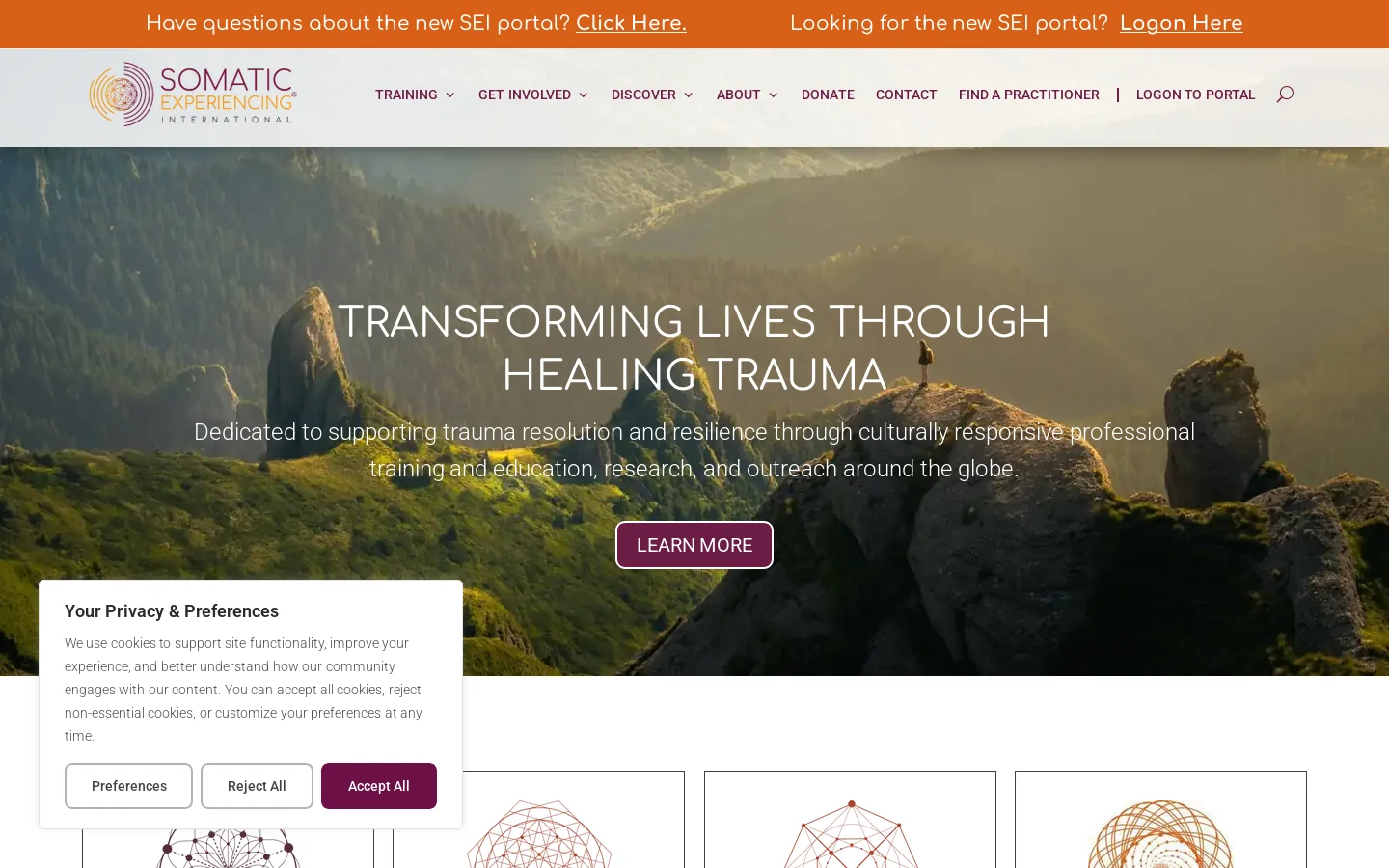 Somatic Experiencing: Supporting Trauma Resolution and Resilience - Somatic Experiencing® International Homepage screenshot