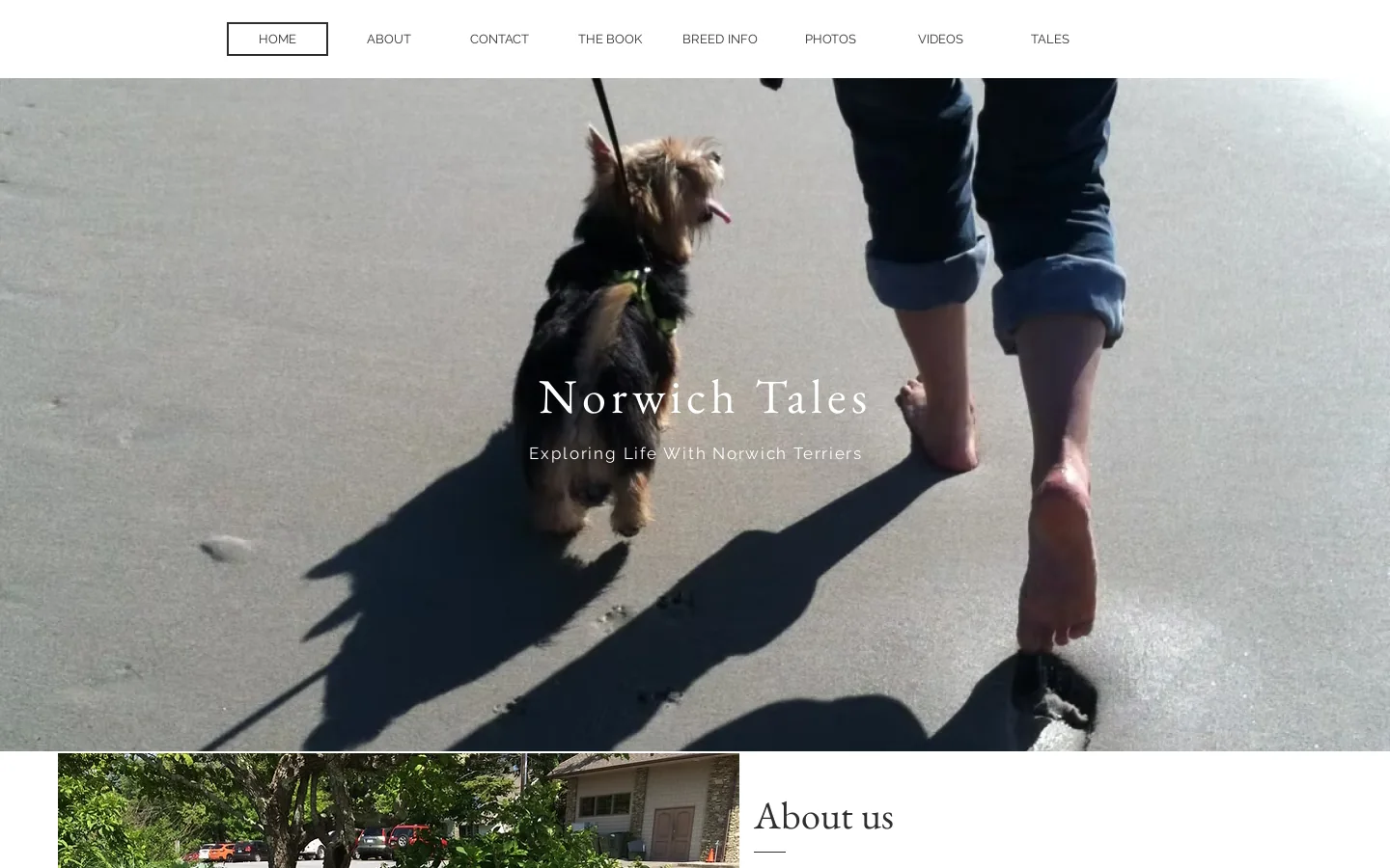 Norwich Tales Homepage screenshot