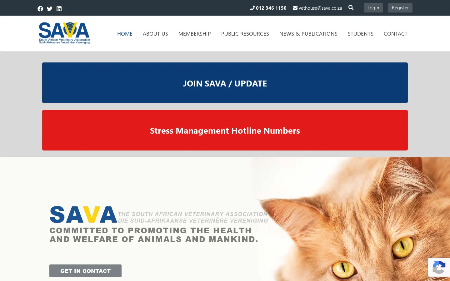 SAVA Homepage screenshot