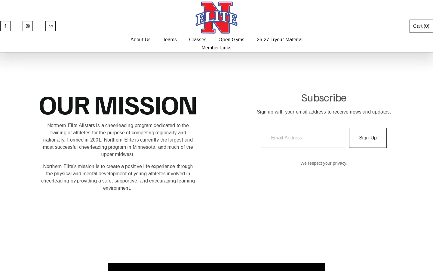 NORTHERN ELITE ALLSTARS Homepage screenshot