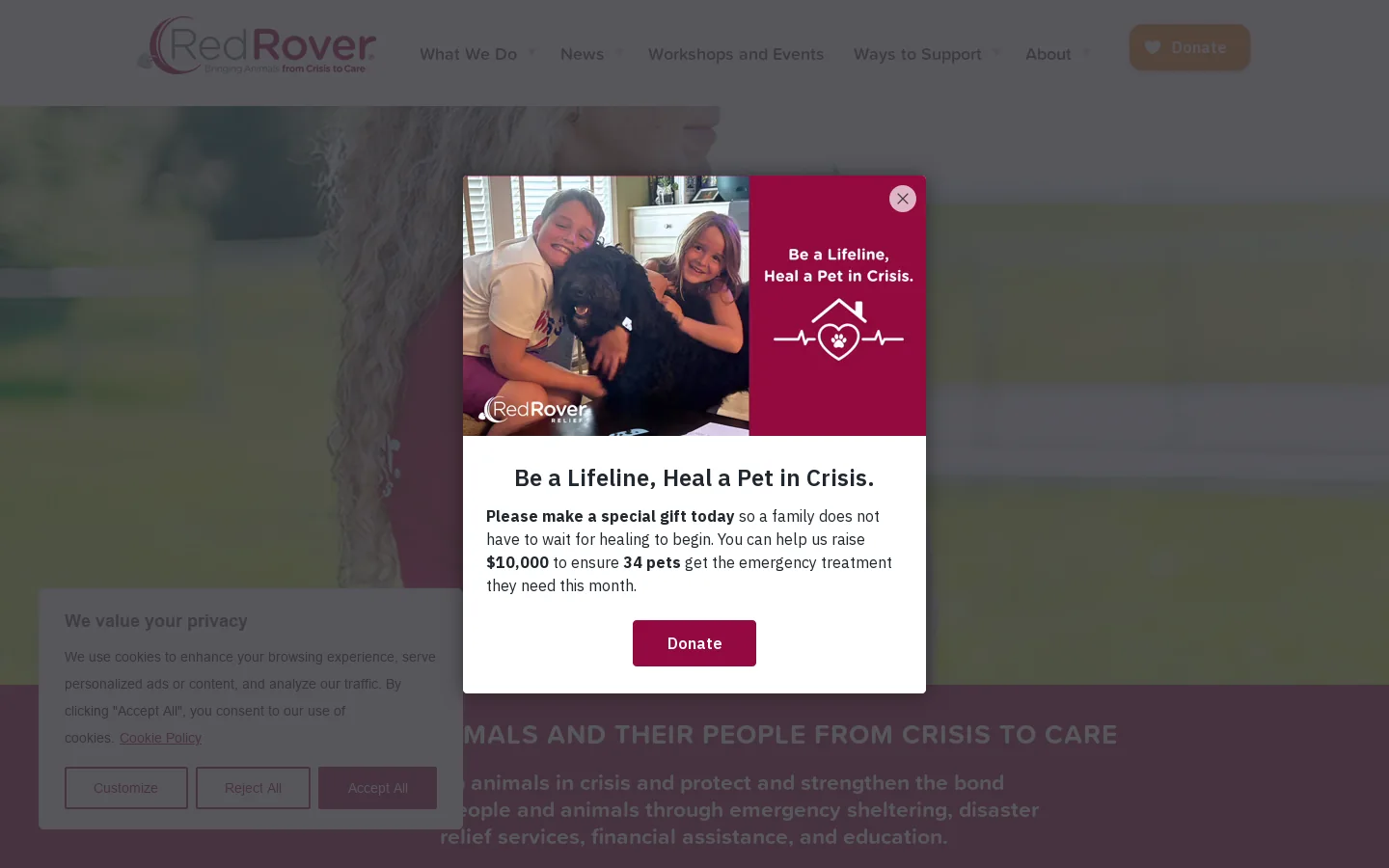 RedRover Homepage screenshot