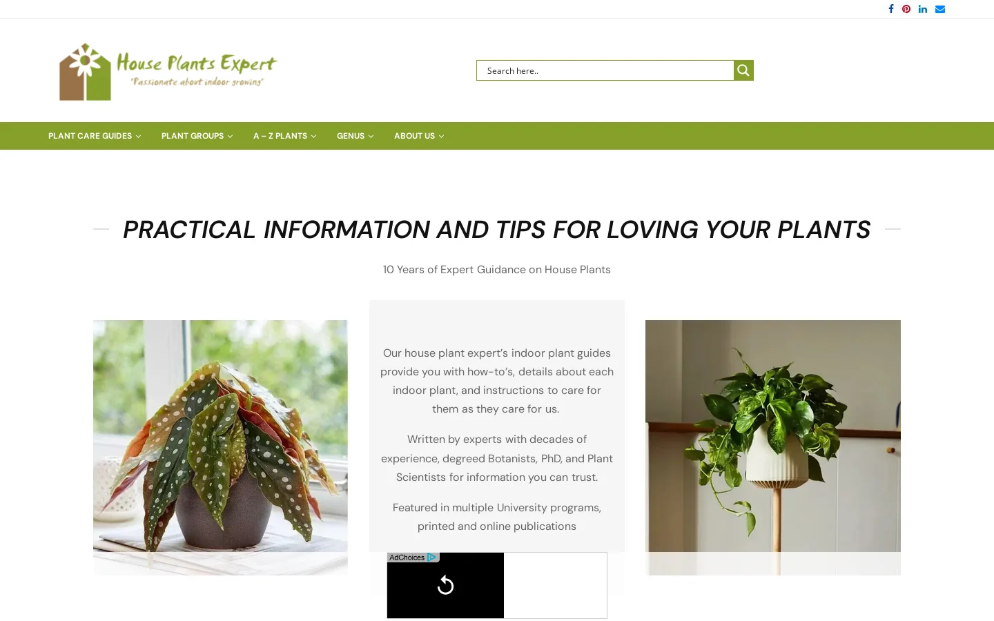 House Plants Expert Homepage screenshot