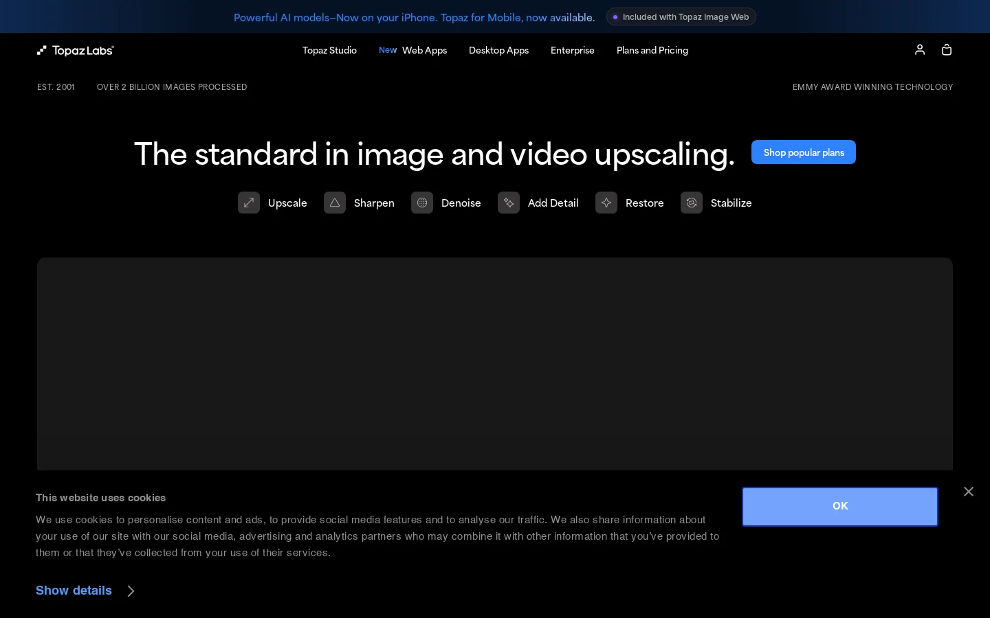 Topaz Labs Homepage screenshot
