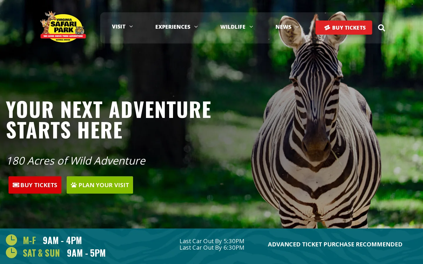 virginiasafaripark.com Homepage screenshot