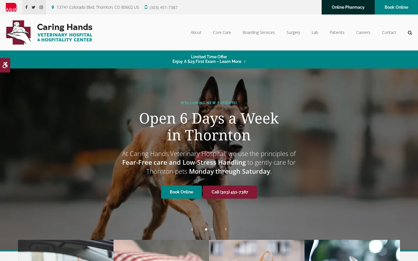 Caring Hands Veterinary Hospital | Thornton Animal Hospital | Book Online Homepage screenshot