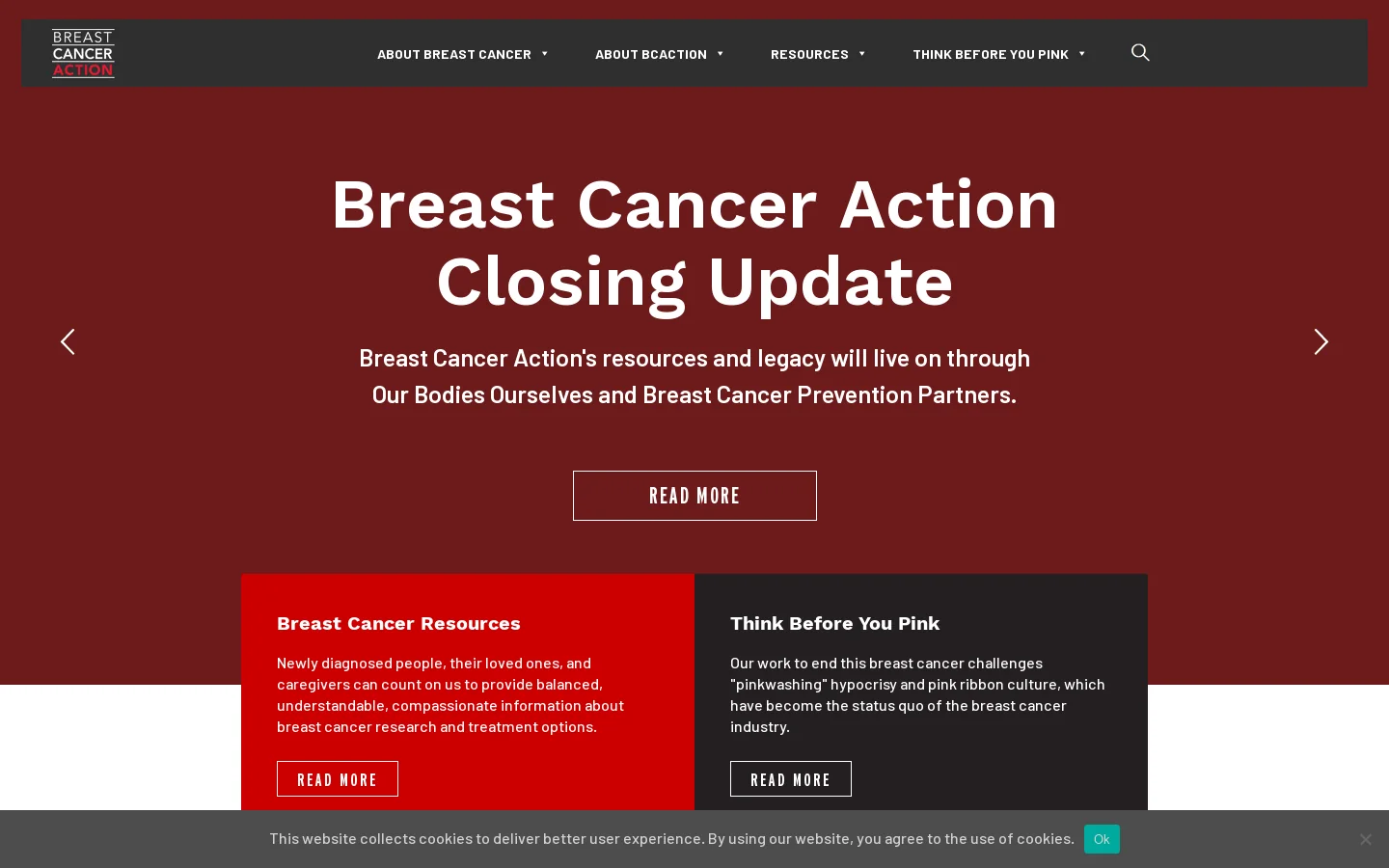 Homepage - Breast Cancer Action Homepage screenshot