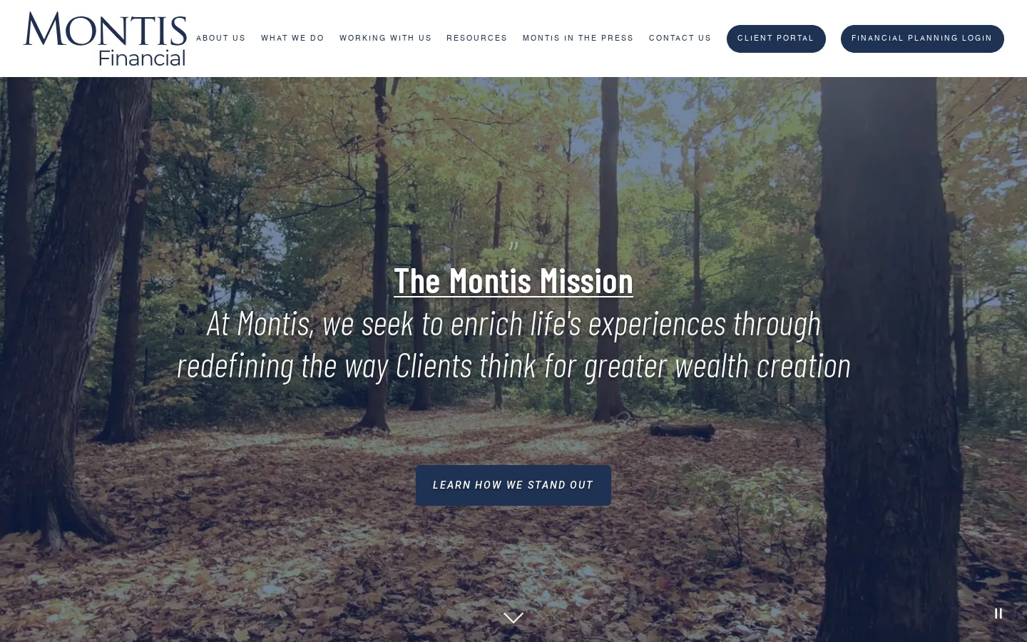 Montis Financial Homepage screenshot