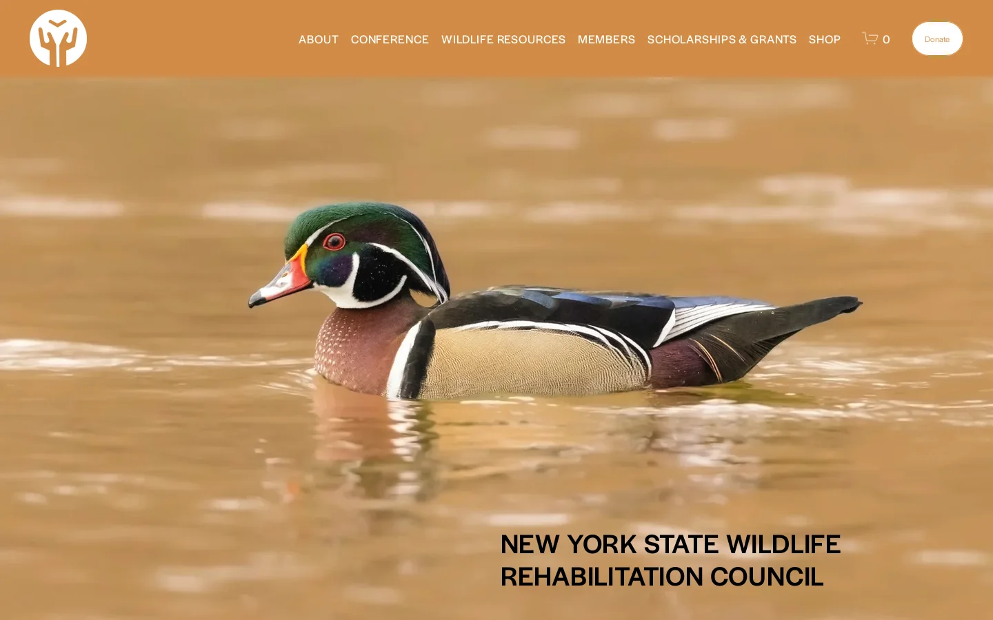 NY State Wildlife Rehabilitation Council Inc. Homepage screenshot