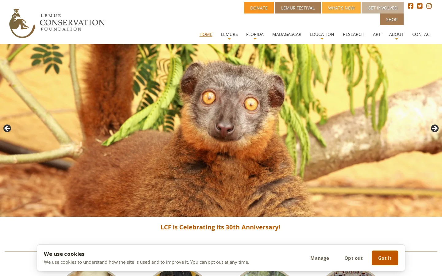 Lemur Conservation Foundation - Home Homepage screenshot