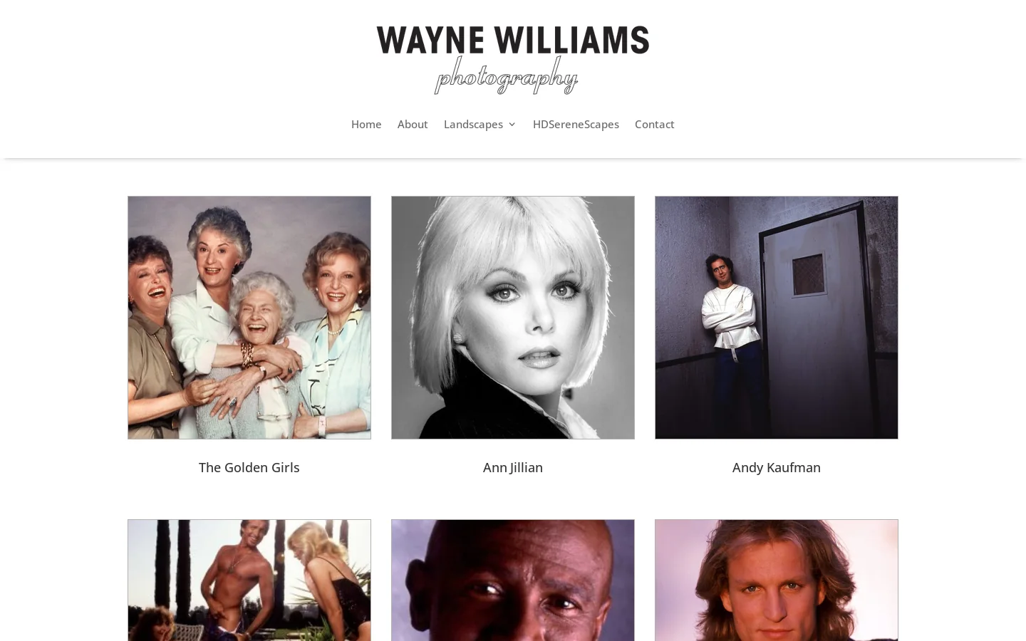 Wayne Williams Studio Homepage screenshot