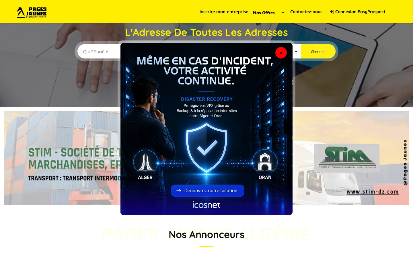 Annuaire des Entreprises Algeriennes, des activités professionnelles, industrielles, commerciales et artisanales en Algérie, Pages Jaunes Algérie Homepage screenshot
