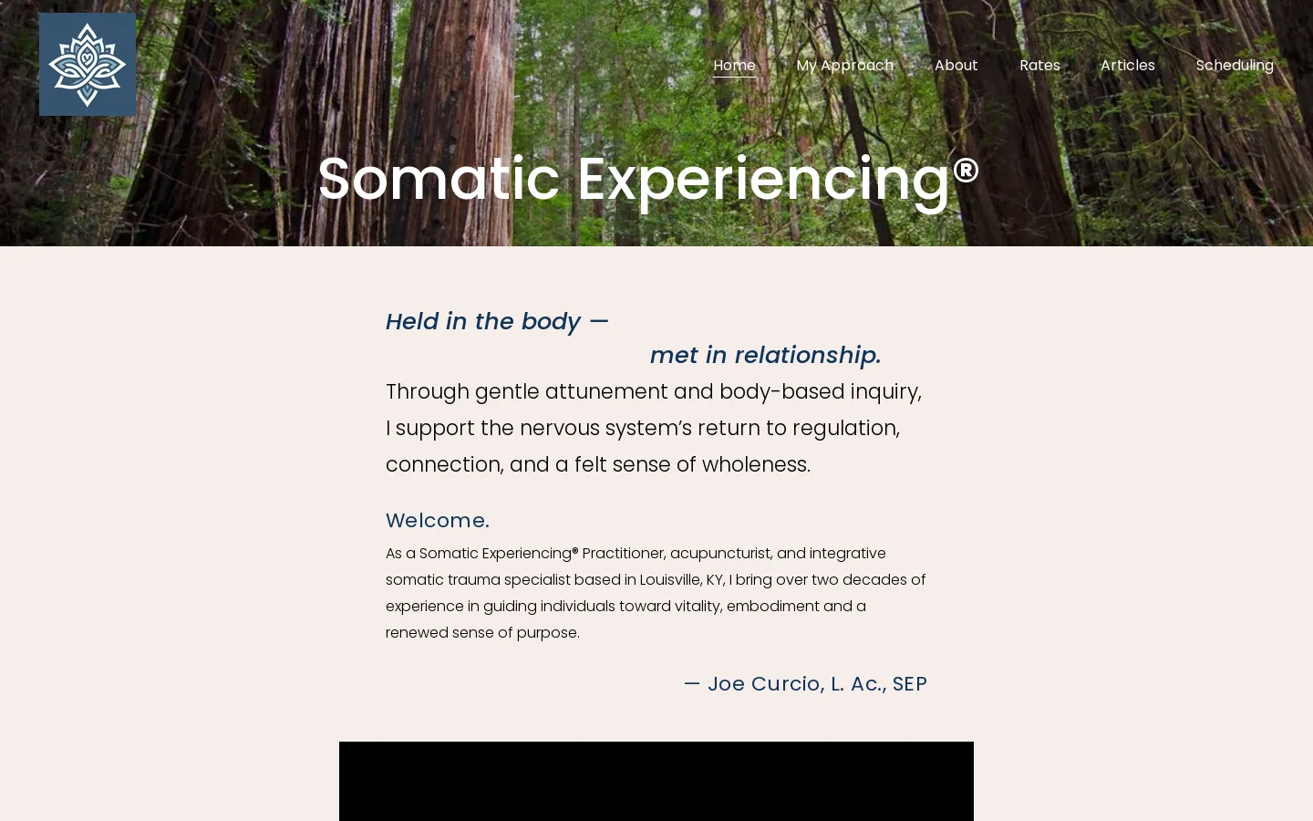 Louisville KY Somatic Experiencing with Joe Curcio Homepage screenshot