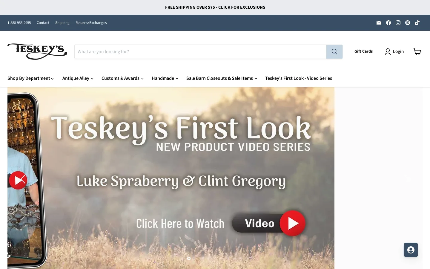 Teskeys Homepage screenshot