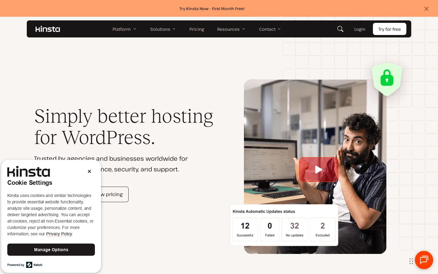 Kinsta® Homepage screenshot
