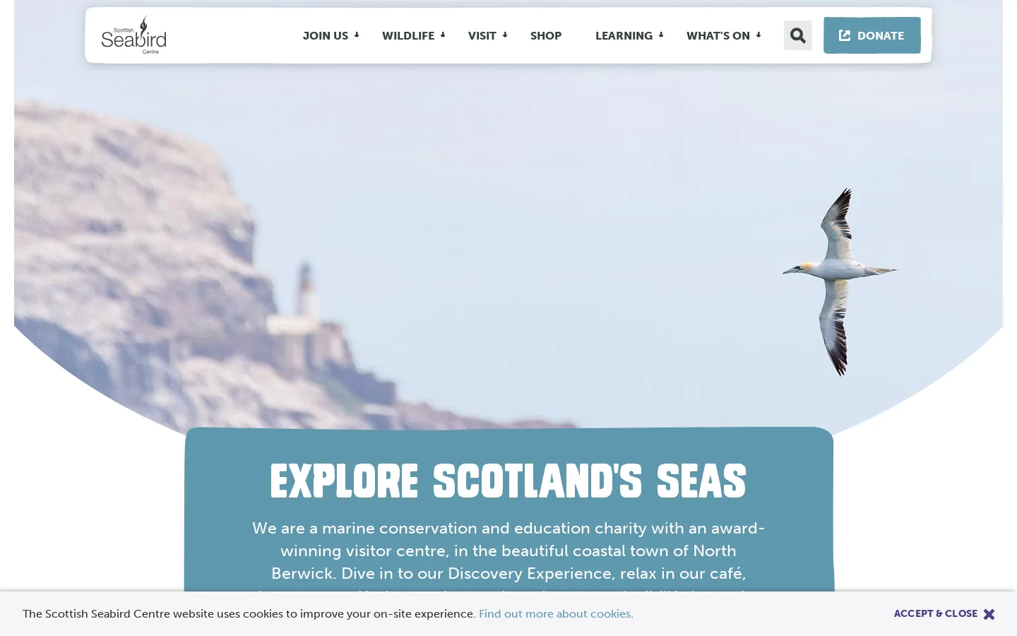 Scottish Seabird Centre - Scottish Seabird Centre Homepage screenshot