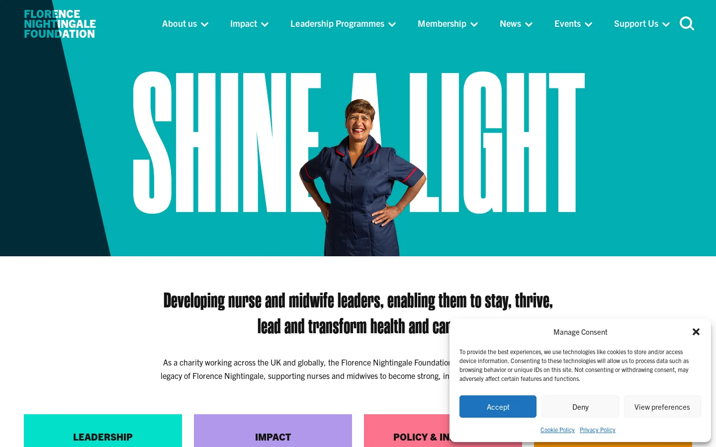 Florence Nightingale Foundation Homepage screenshot