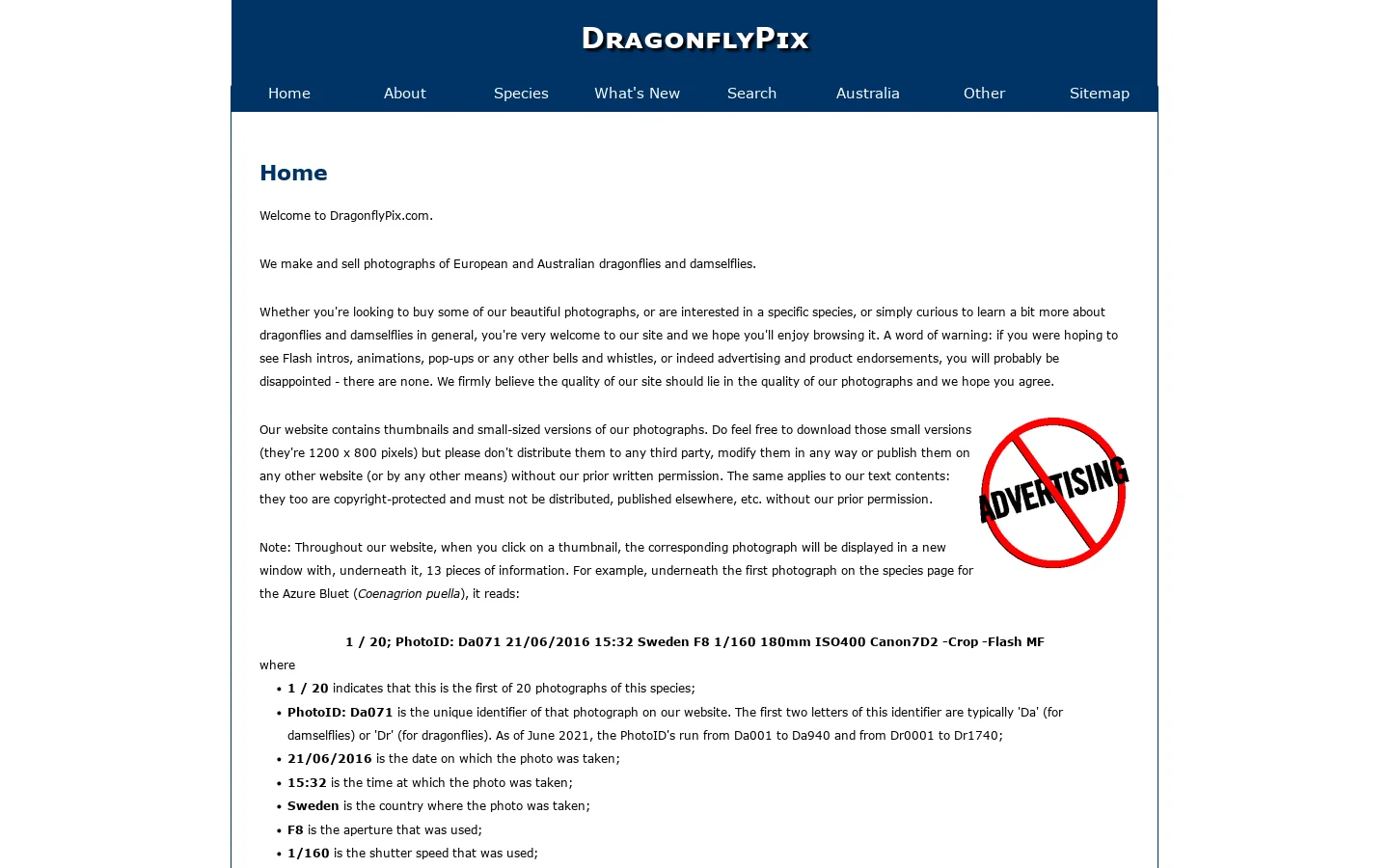 DragonflyPix Home Page Homepage screenshot
