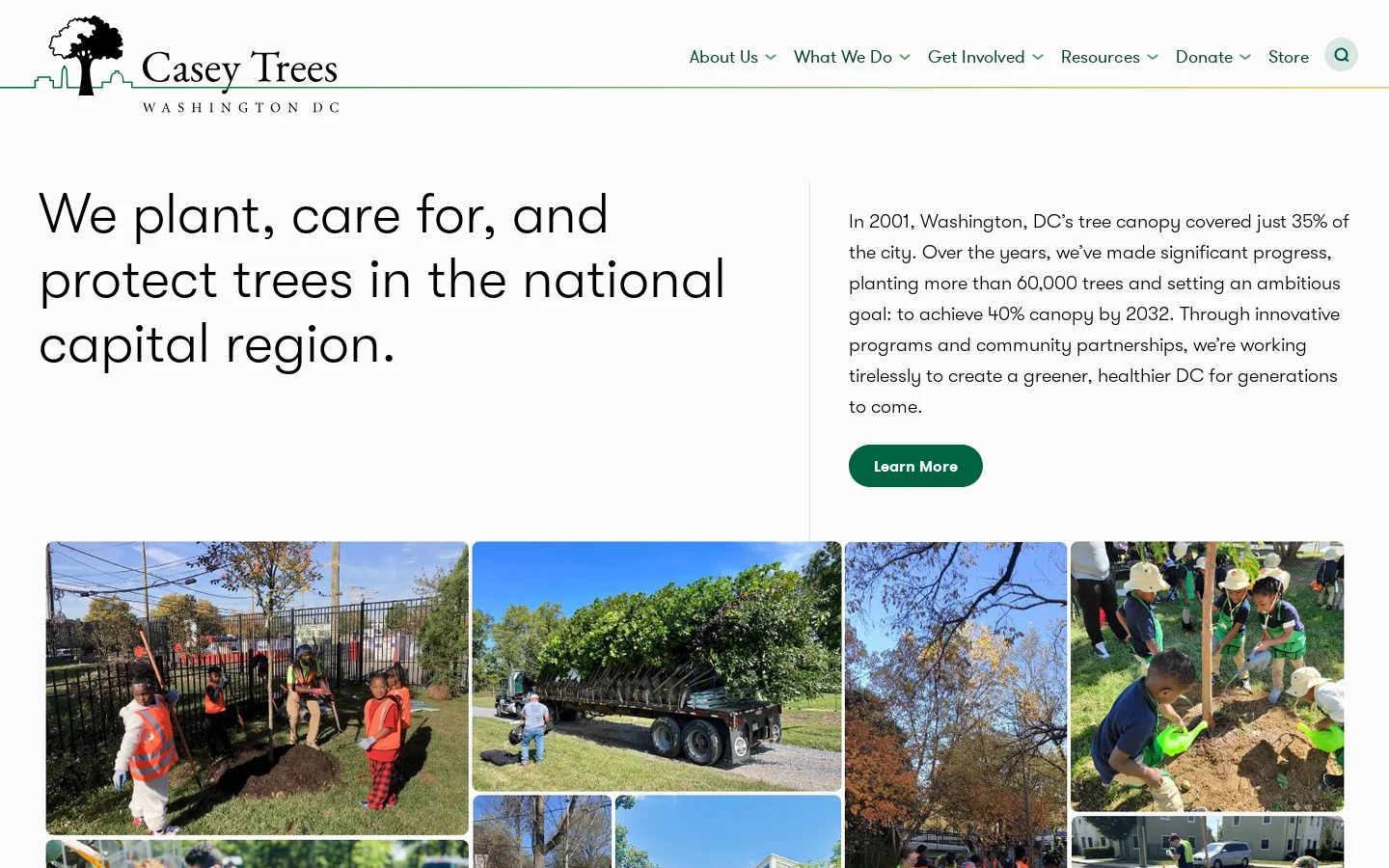 Casey Trees Homepage screenshot