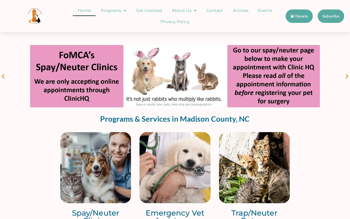 Home - Friends of Madison County Animals Homepage screenshot