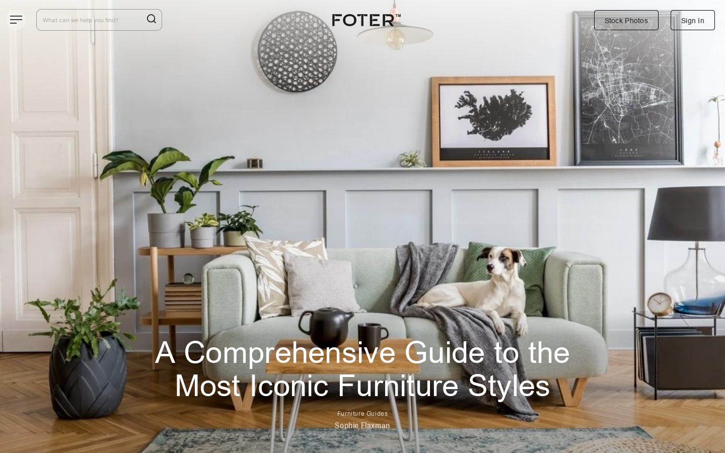 Foter Homepage screenshot