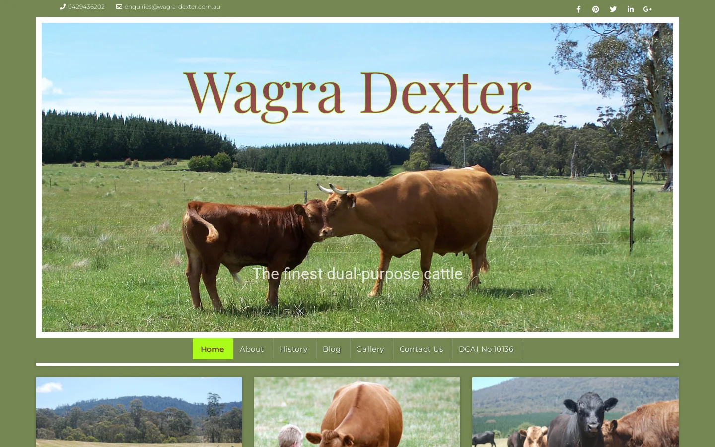 Wagra Dexter Homepage screenshot