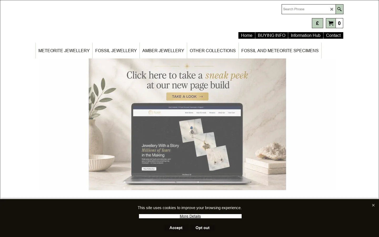 Jurassic Jewellery Homepage screenshot