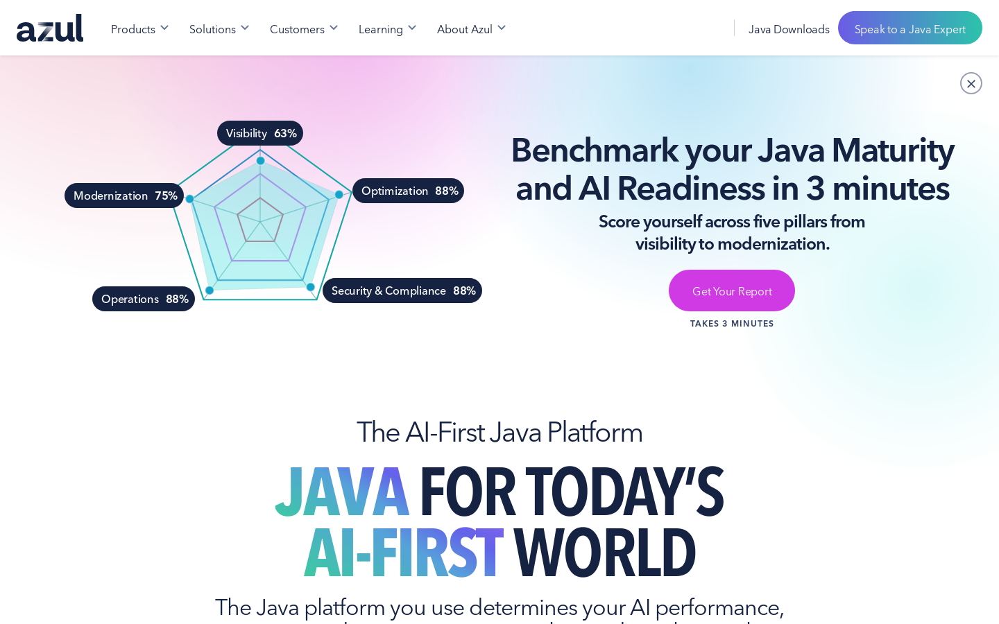 Azul Payara Server Homepage screenshot