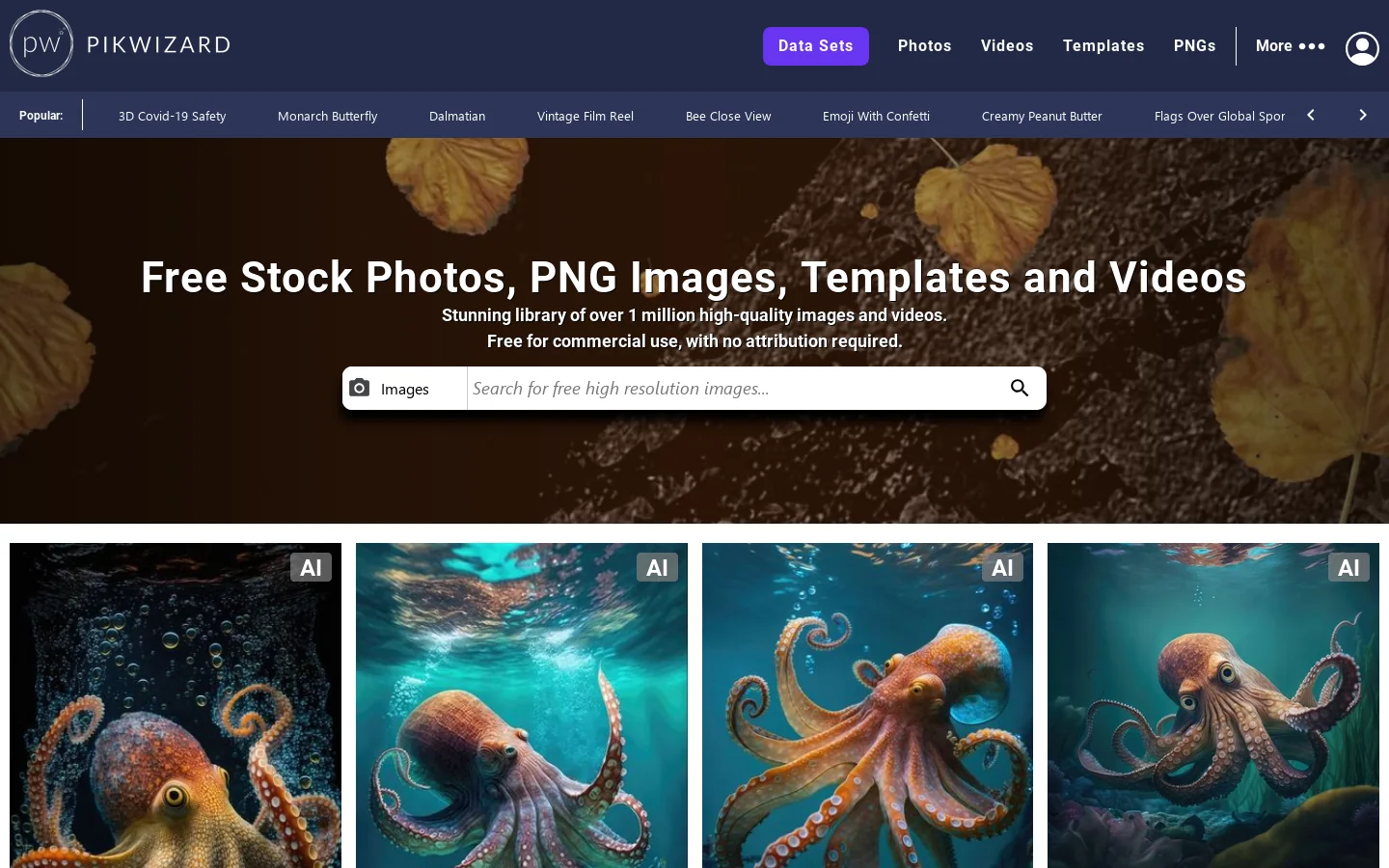 Pikwizard Homepage screenshot