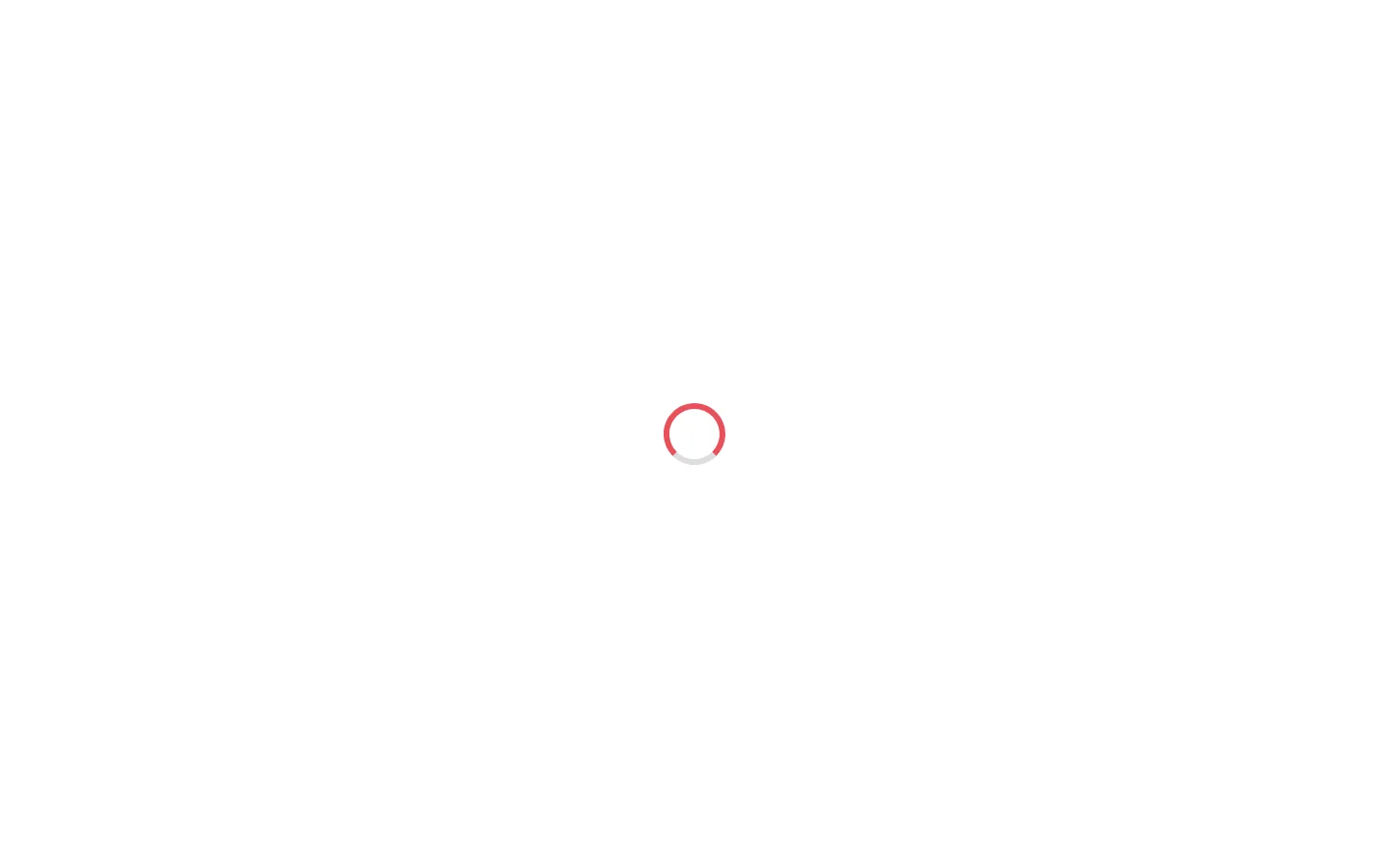 Bestsnip Animation Studio Homepage screenshot