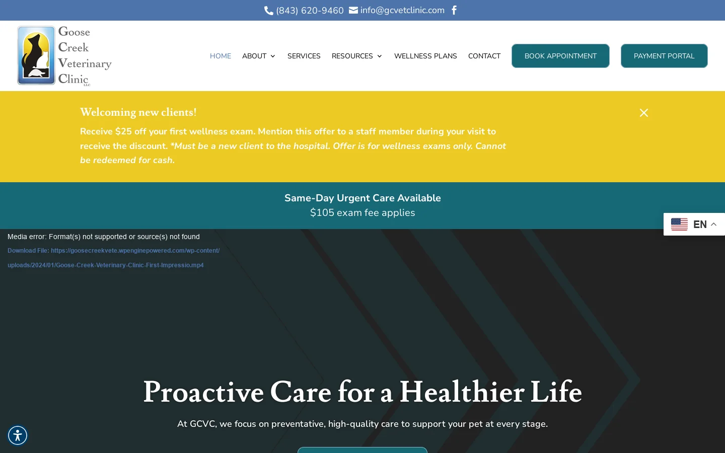 Best Vet Clinic In Goose Creek, SC | Goose Creek Veterinary Homepage screenshot