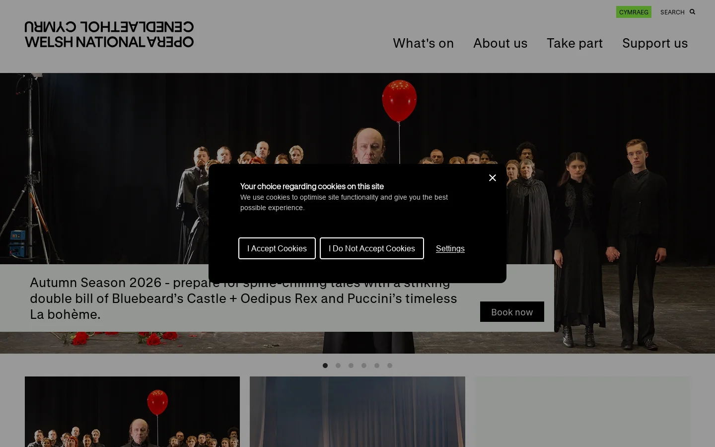 Welsh National Opera | Home Homepage screenshot