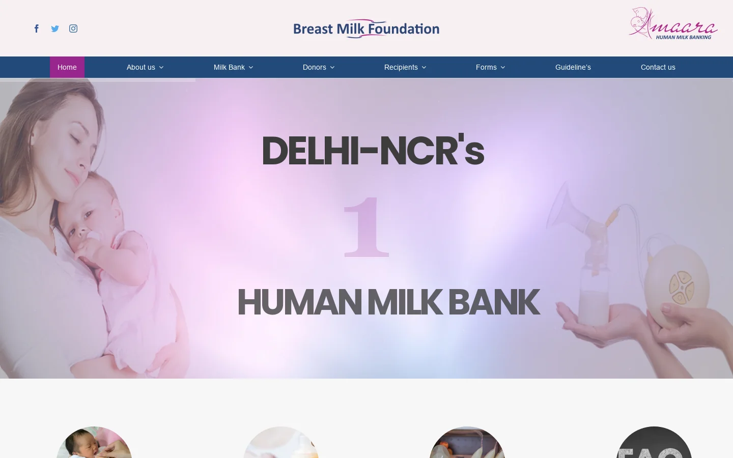 Breast Milk Foundation Homepage screenshot