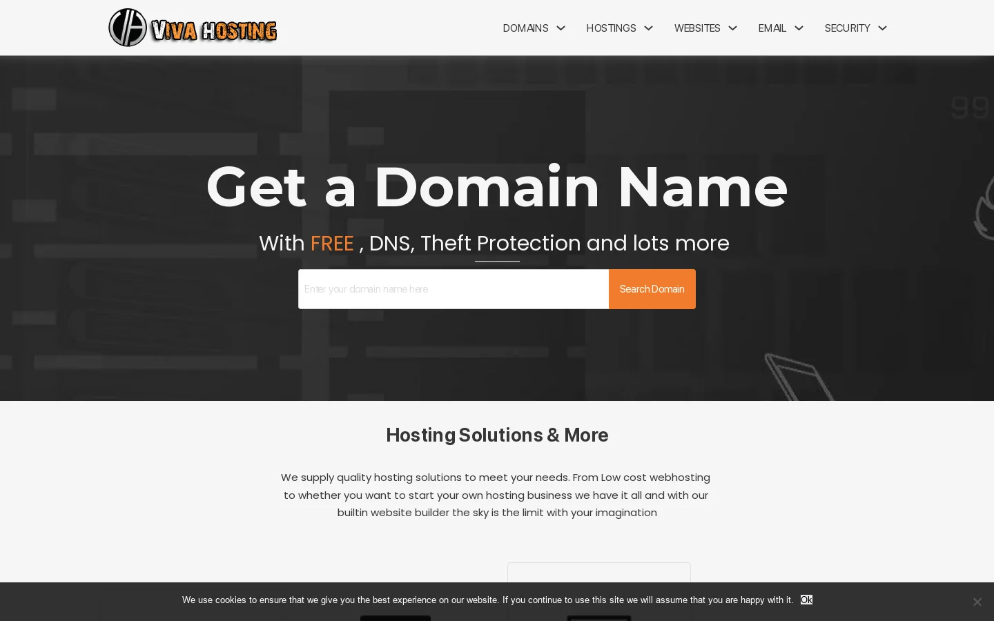 VivaHosting Homepage screenshot