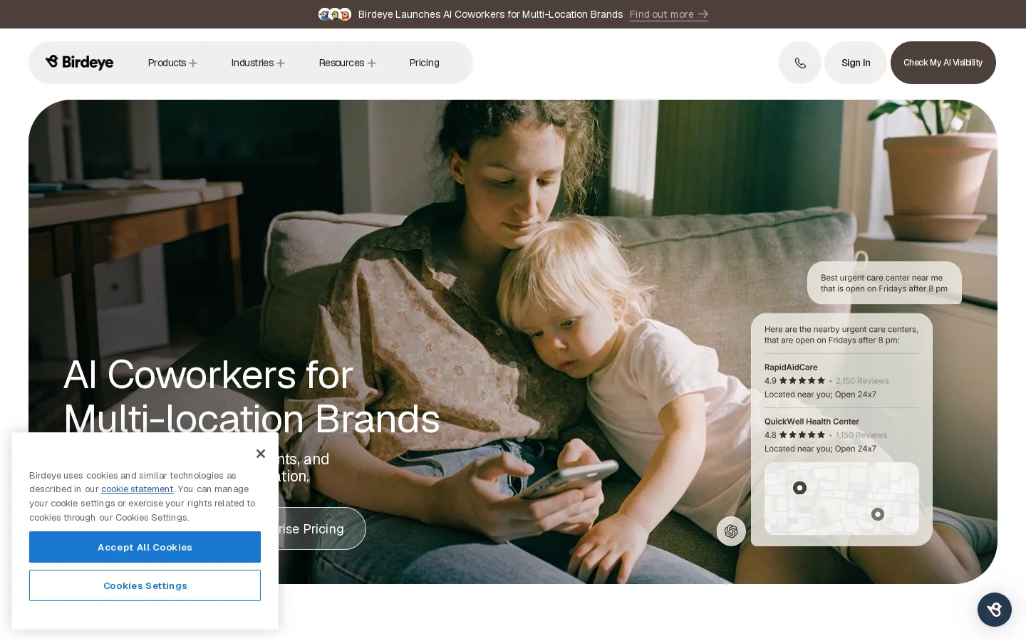 Birdeye Homepage screenshot