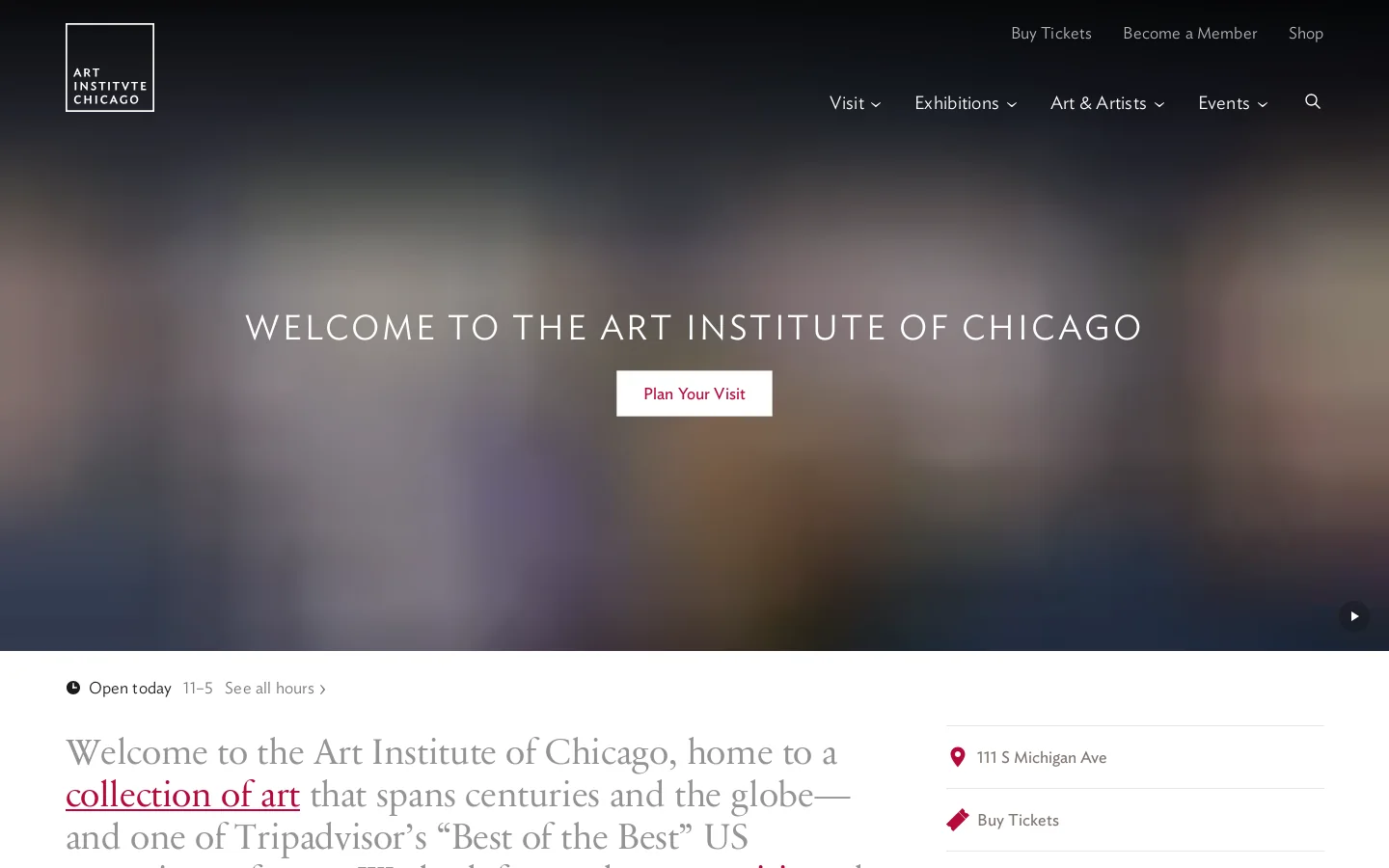 Home | The Art Institute of Chicago Homepage screenshot