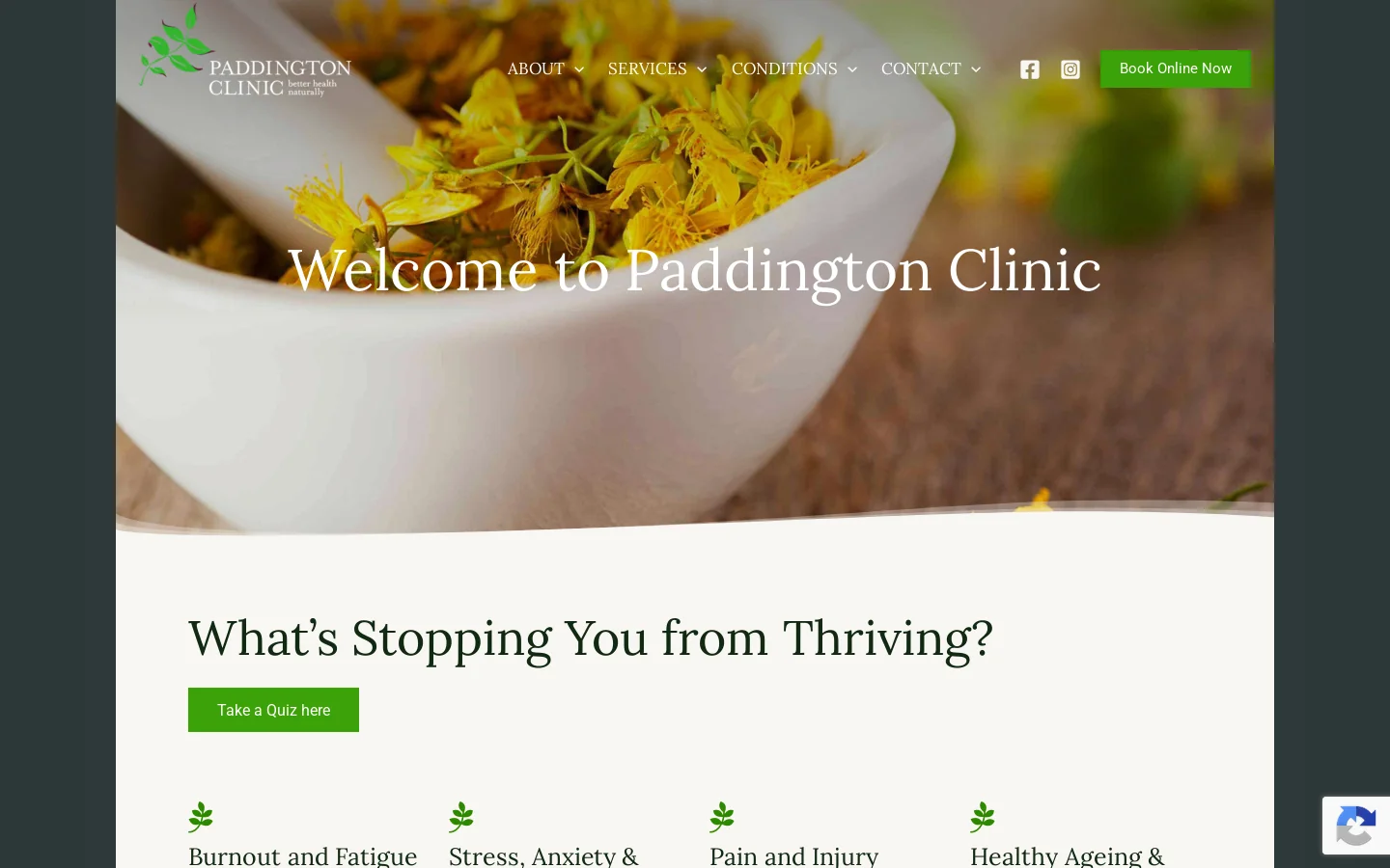 Paddington Clinic Homepage screenshot