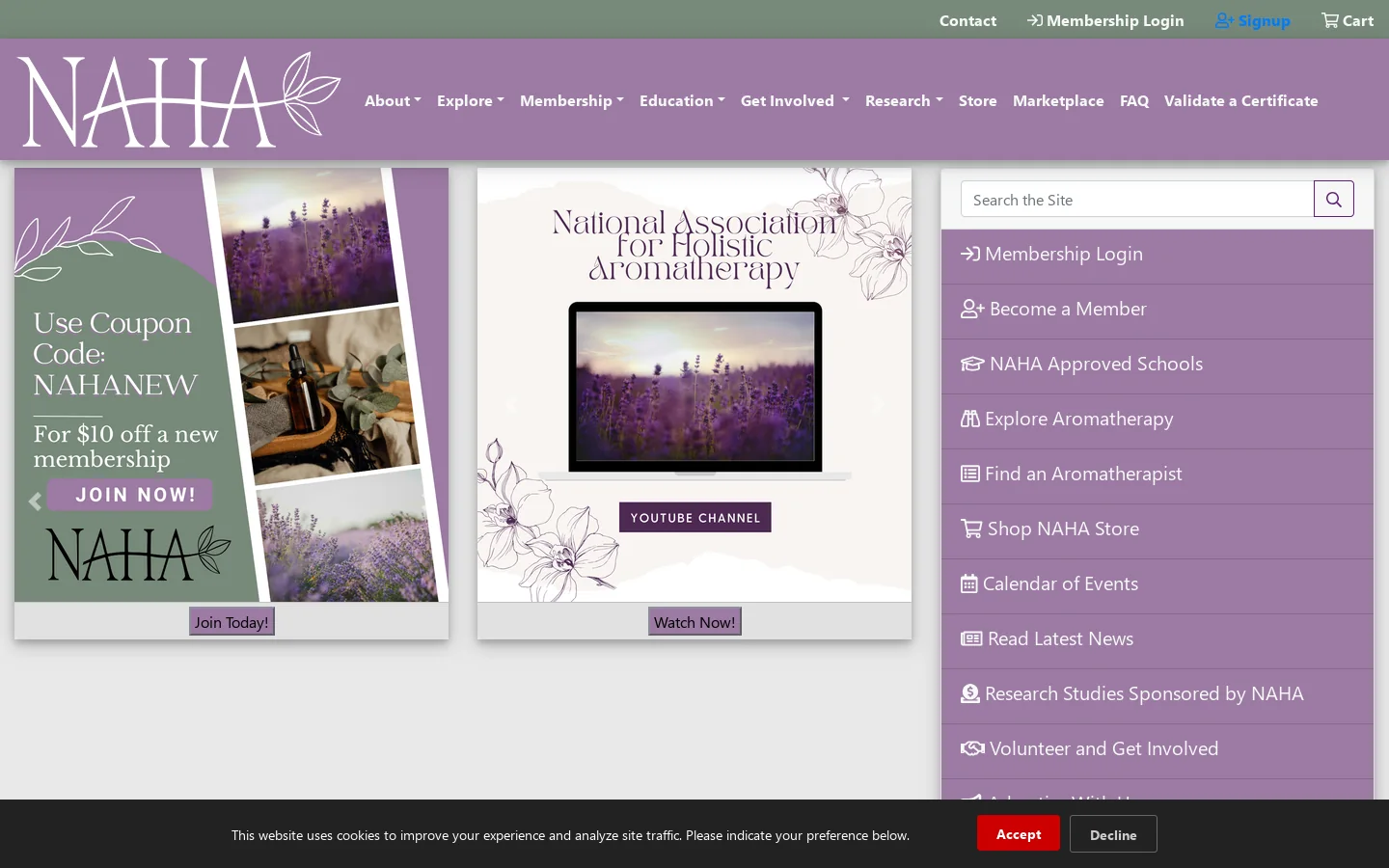 NAHA Homepage screenshot