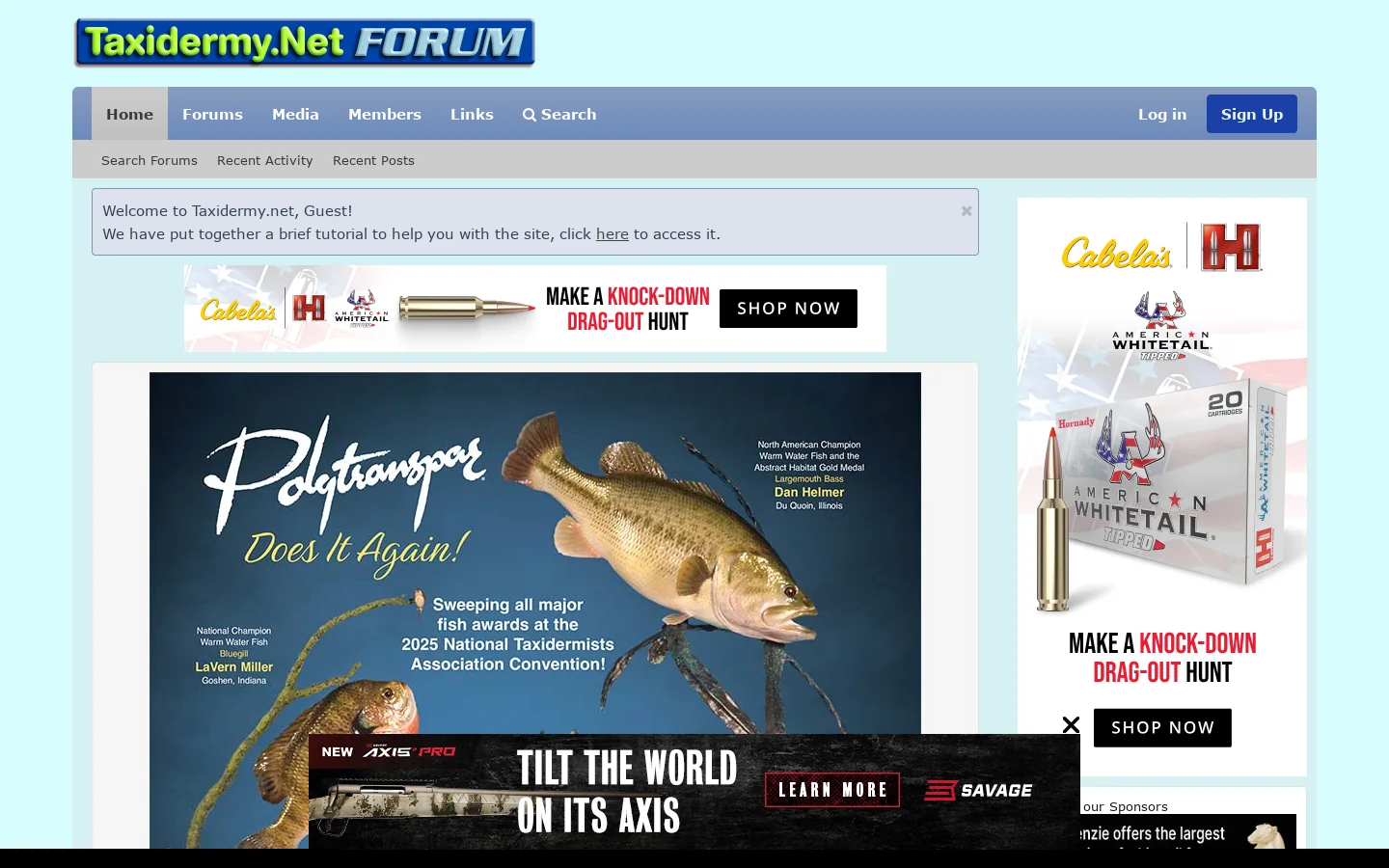 Taxidermy.net Forum Homepage screenshot