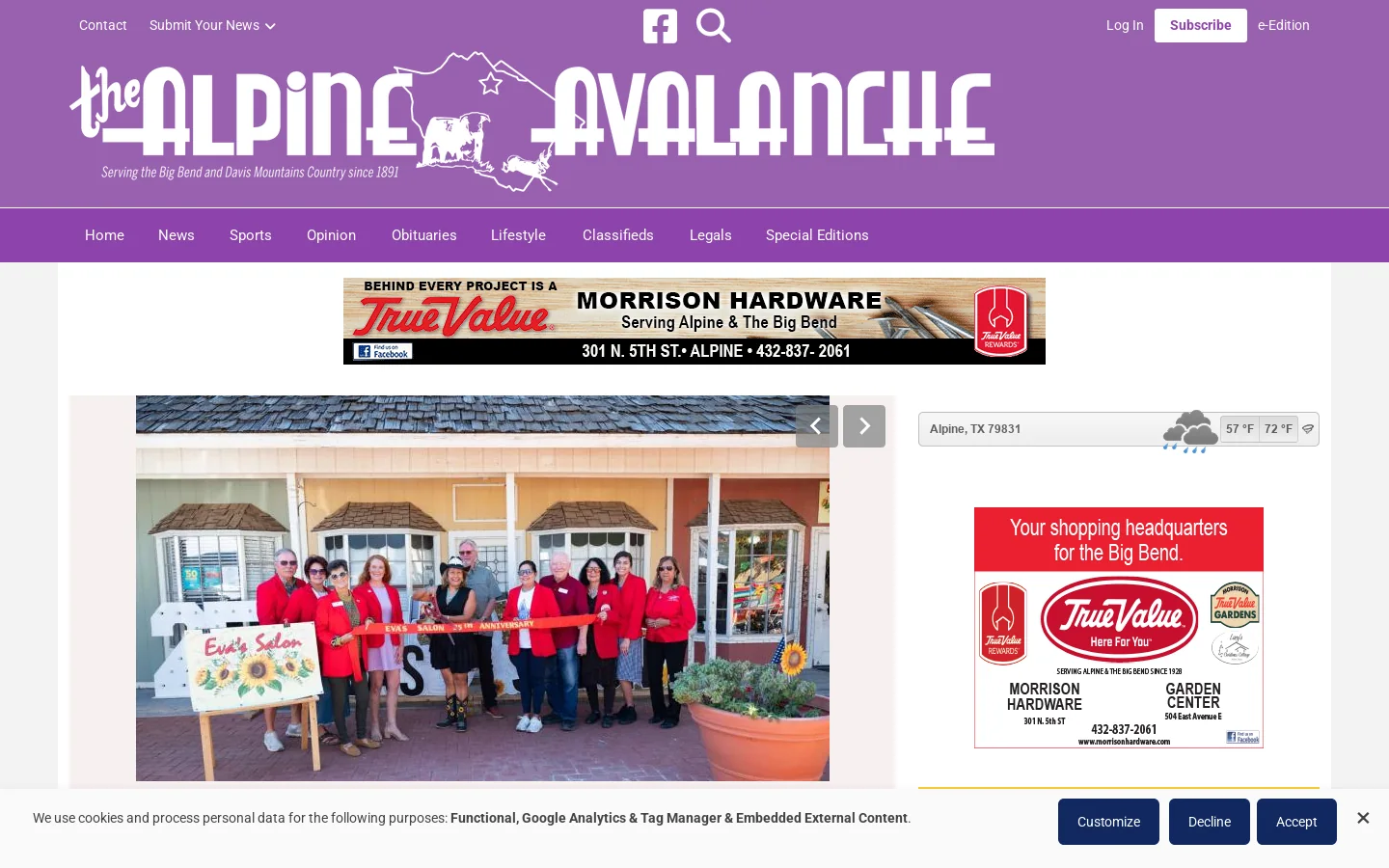 Alpine Avalanche Homepage screenshot