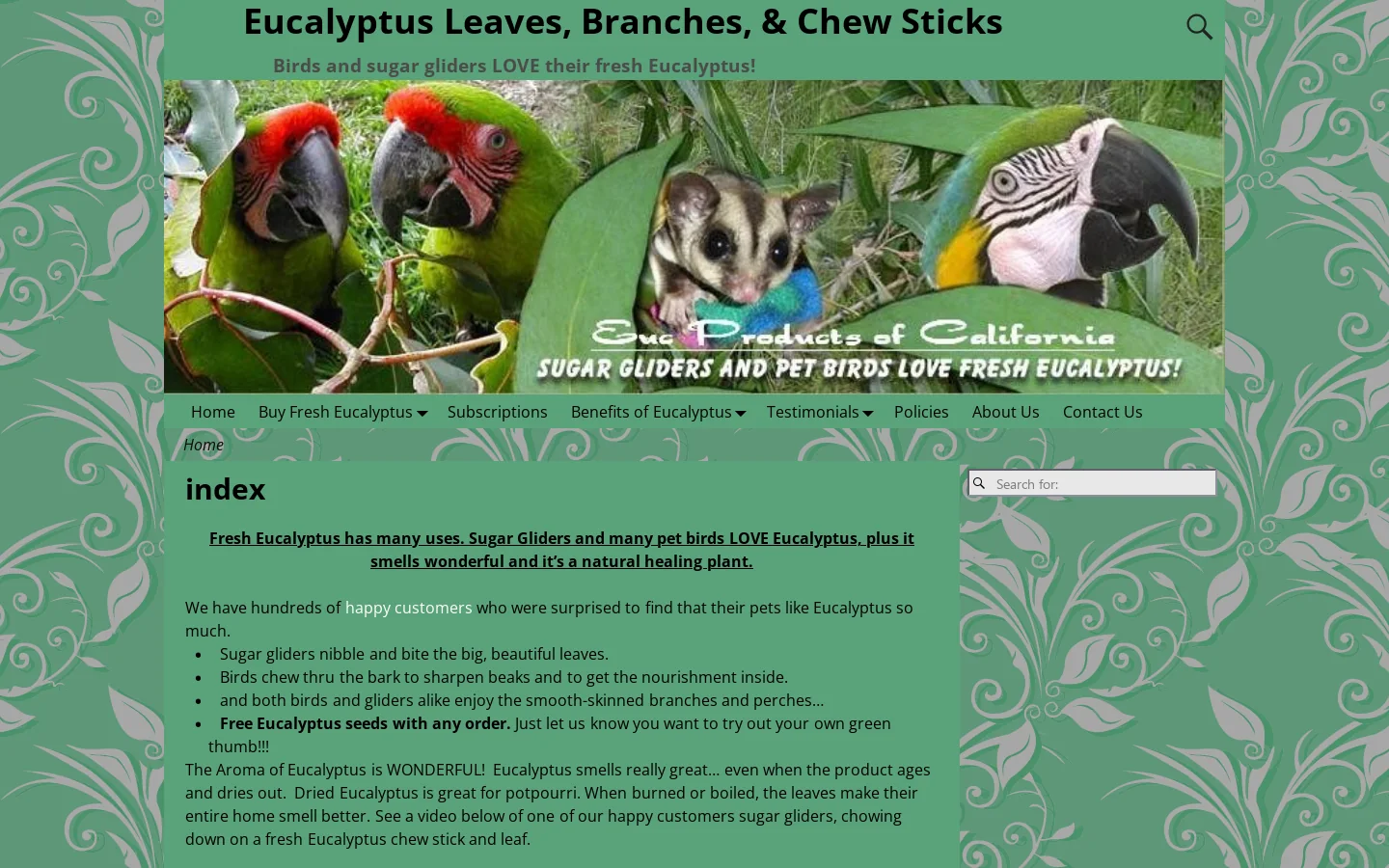 Eucalyptus Leaves, Branches and Perches buy fresh cut for Sugar Gliders and Birds Homepage screenshot